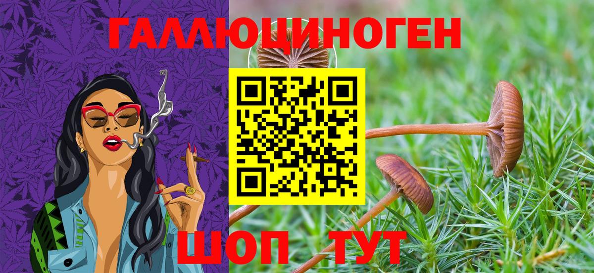 закладки  Псилоцибиновые грибы прущие грибы  Арзамас  Вход с VPN  Галлюциногенные грибы ЛСД 